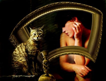 Framed - woman, picture frame, sculpture, cat, still life