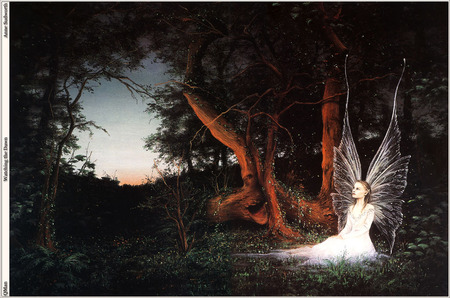 Watching the Dawn - fairy, fantasy, art, forest