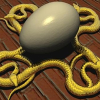 snakes eggs