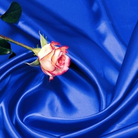 silk rose