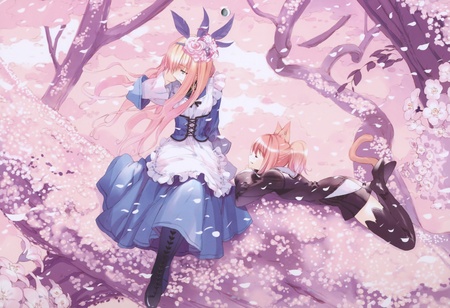 Catgirls Romance - cherryblossom, catgirl, romance, rosa, catgirl romance, pink