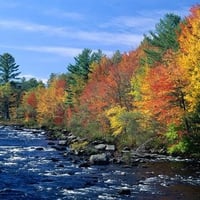 Colors of New England