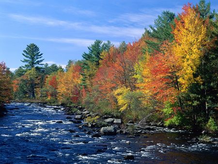 Colors of New England - nature