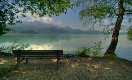 Lakeside Rest - rest, lake, bank, lakeside