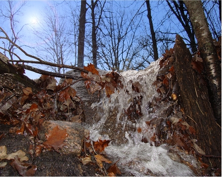 Spring Runoff - nature, autumn, stream, water, leaves, ditch, spring