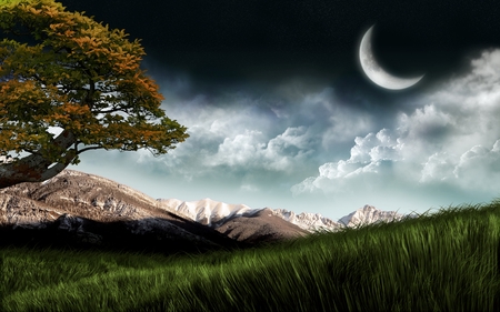 Beyond the Valley - moon, nature, landscape, tree, sky