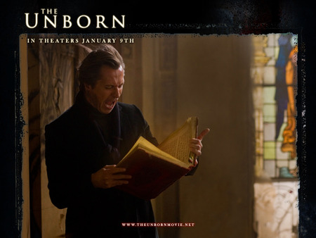 The Unborn - cam gigandet, michael bay, james remar, horror, odette yustman, garry oldman, meagan good, rogue pictures