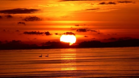 Red Sunset Ocean - nature, ocean, sunset, red