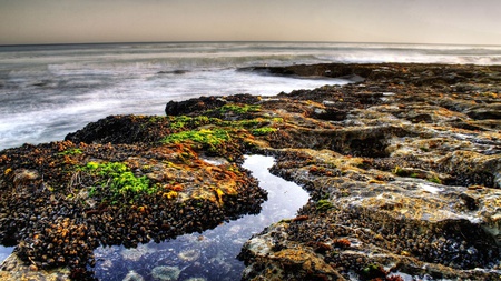 Pebbles Beach - nature, beach, ocean, pebbles