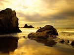 Beach in Sepia