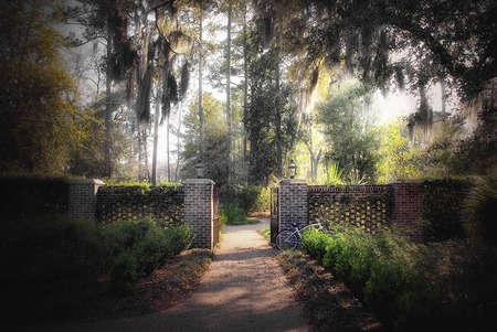 out side the gate - trees, gate, road, walls, light, lamps