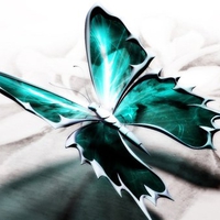 JADE BUTTERFLY