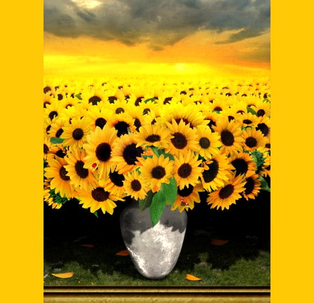 Sunflowers plus - field of flowers, sunflowers, sunshine, yellow and gold, yellow and black, vase