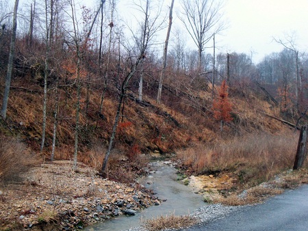 Running Creek - Autumn, Rivers, Nature, Creek