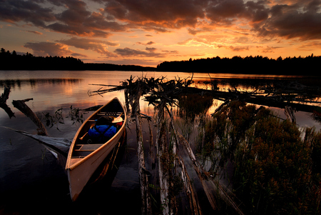 Red Pine - lake, forest, boat, sunset, wood