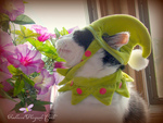 Spring Cat