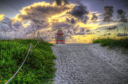 Sunrise - beauty, good morning, sky, rope, beach, yellow flowers, peaceful, colorful, path, road, view, yellow, clouds, green, grass, sand, morning, ocean, wild flowers, summer, lovely, nature, beautiful, colors, flowers, sunrise, sea