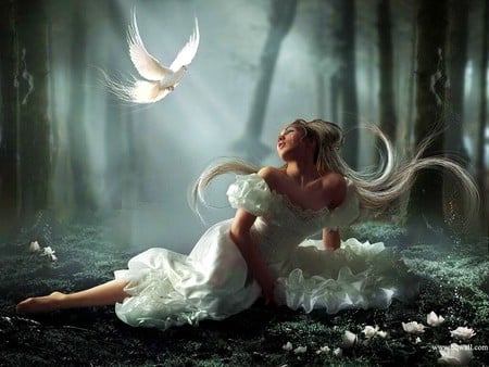 Fantasy-Girl - roses, animals, hair, magic, white bird, white, amazing, cool, dark, grass, lady, adorable, tender touch, white girl, gentle, attractive, chic, nature, glow, charm, lonely, brilliantly, cry, 3d, beautiful, white girl crying, sweet, dress, lament, beauty, woman, female, wonderful, fantasy, mist, spirit, white roses, gorgeous, anime, cute, splendid, feel, love, girl, forests, sad, magical, crying, lovely, bird, alone, abstract, jungle, fog, emotion, flowers, colors, soul, emo