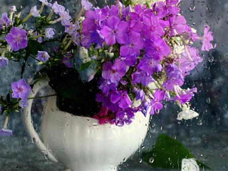 purple flowers - still, nature, purple, rain, water, flowers, vase