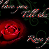 till the last rose fades