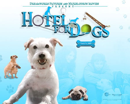 The Dog Movie - dogs, blue, terriers, jack russell terriers, puppies, pugs, animals