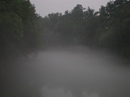 River Fog - vampire, river, night, fog