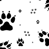 Wolf Paw Prints