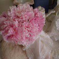 peony and lace