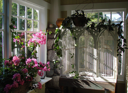 beautiful wintergarden - bird, cage, winter, beautiful, garden, home