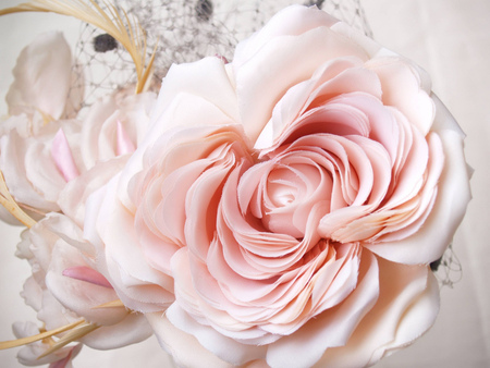 pink rose - pink, beautiful, one, still life, rose