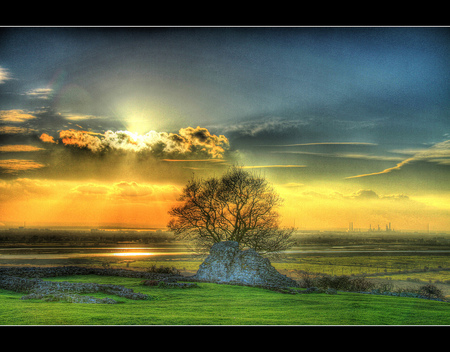 Amazing sunset - beauty, sky, amazin, sun, colorful, sunset, field, glowing, clouds, hdr, tree, golden, grass, background, landscape, gold, nature, isolated, lonely, blue, beautiful, colors