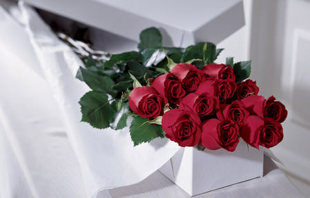 Beautiful Red Roses - nature, love, gift, roses, red, bouquet, flowers, rose