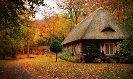 japan house - beauty, nature, trees, forest, house, colors