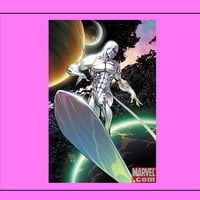 Silver Surfer Cool Dude