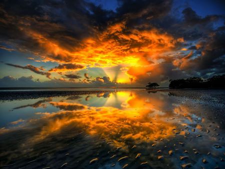 Sunset - cloud, lake, sunset, tree