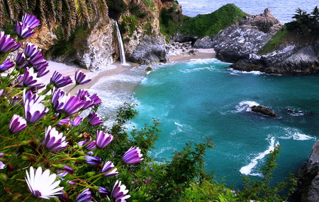 Beach and sea - flowers, blue water, beach, amazing, mountains