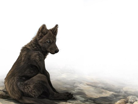 DARK WOLF - wolf, ears, eyes, sitting, dark