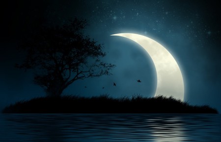 MYSTIC ISLAND - moon, water, mystic, island, night, stars, tree, sky