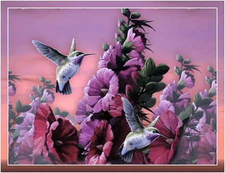 Hummers - nectar, clouds, pink, blue, flight, humming birds, spring