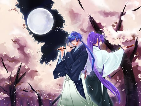 Vocaloid - anime, vocaloid, long hair, male, short hair, music, kaito, kamui gakupo, blue hair, purple hair, blue eyes