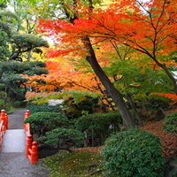 Little red bridge