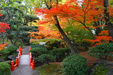 Little red bridge - fall, trees, green, bushes, orange and gold, red bridge