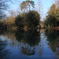 Dark lake