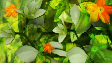 Spring in the Forest - forest, green, layers, flowers, grass, firefox persona, transparent