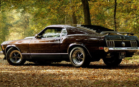 mustang - cars, ford, autumn, mustang