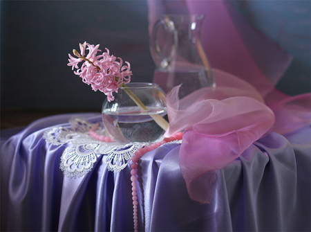 still life - elegantly, pink, photo, gentle, nice, silk, water, beautiful, photography, lace, kettle, cool, still life, flower, harmony, necklace, satin, hyacinth