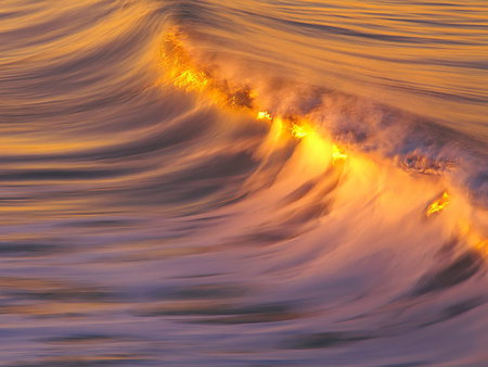 Beautiful Wave