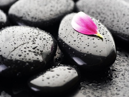 Pink on the Stone - stone, petal, rain, alone, pebble, pink