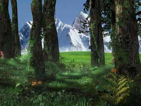 The Perfect Forest - trees, forest, snow, mountains, grass