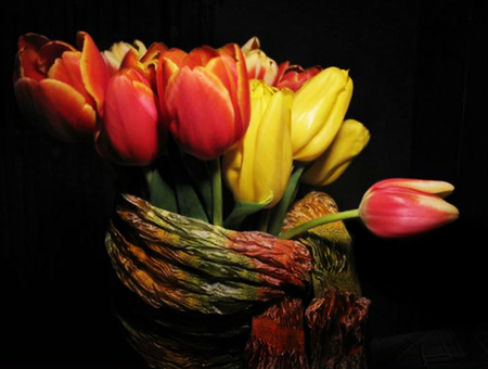 Tulips - nature, tulips, colors, flowers